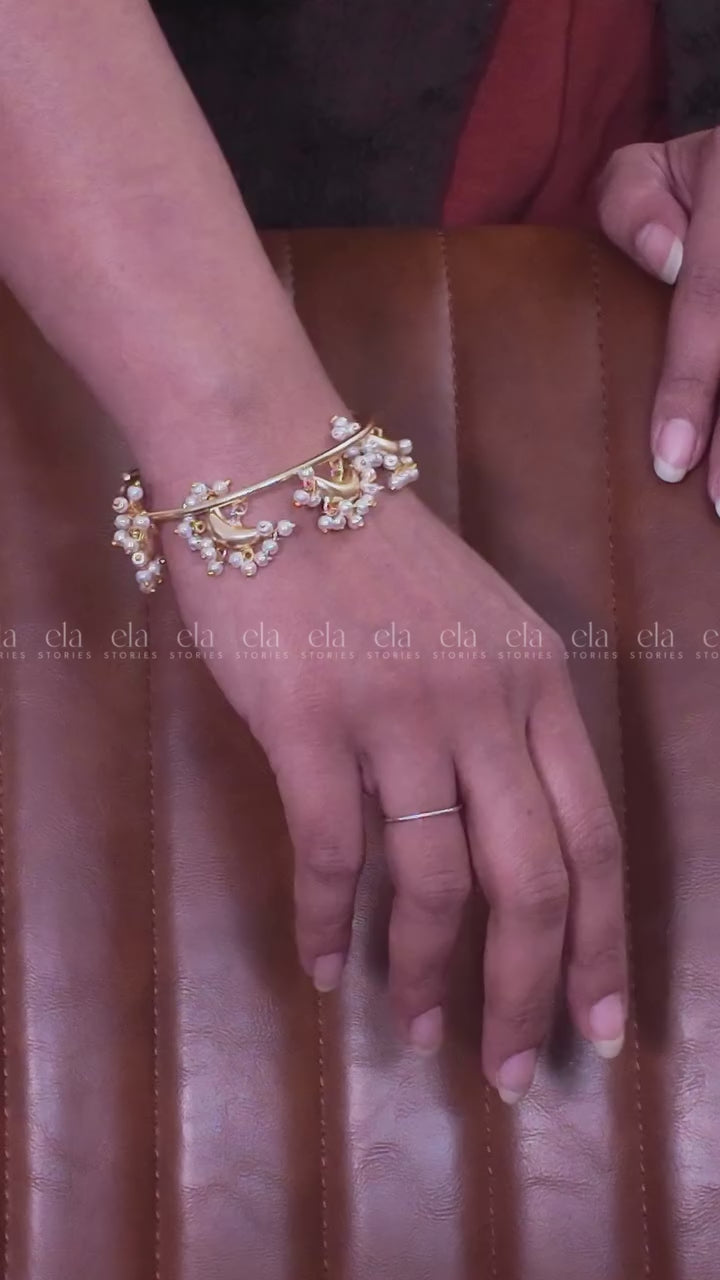 @elastories_com-DYbHMsAN6wc.mp4